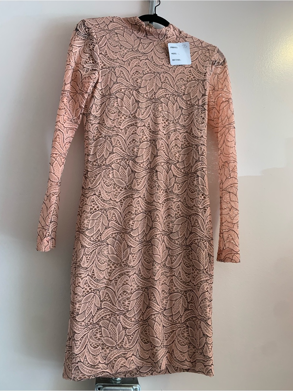 Dress the Population Blush Lace Long Sleeve Sheath Dress